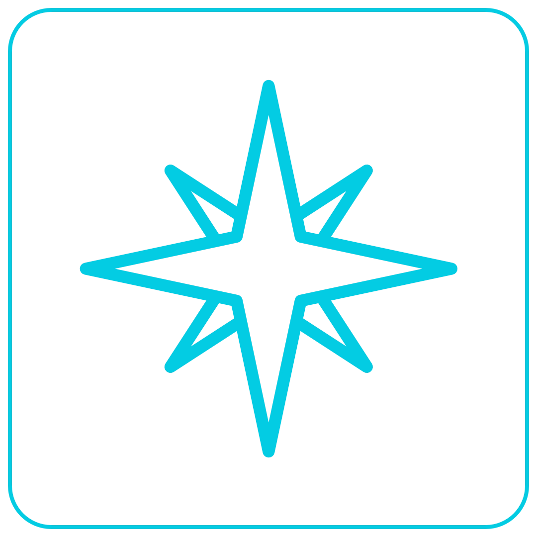 The North Star Metric